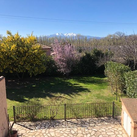 Au Mimosa -Gite Le Canigou Passa Eksteriør bilde