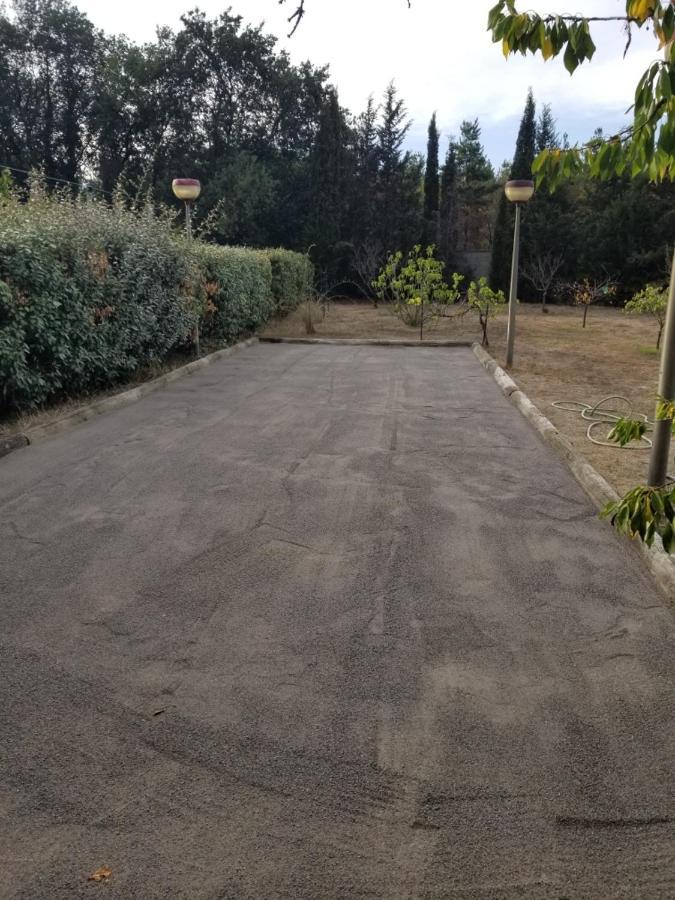 Au Mimosa -Gite Le Canigou Passa Eksteriør bilde